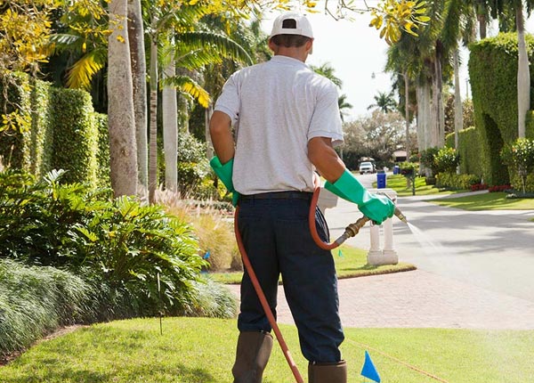 About Miley SC Pest Control Pros
